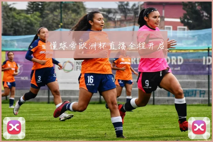 懂球帝欧洲杯直播全程开启