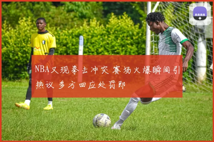 NBA又现拳击冲突 赛场火爆瞬间引热议 多方回应处罚即