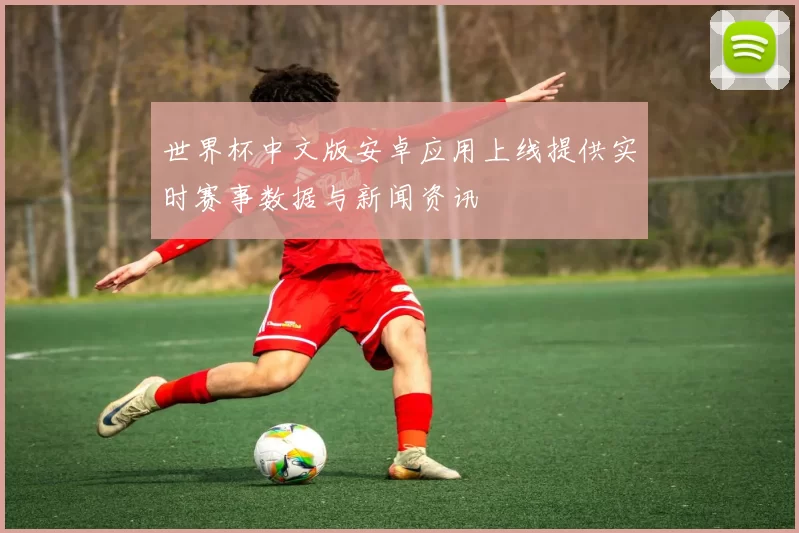 世界杯中文版安卓应用上线提供实时赛事数据与新闻资讯
