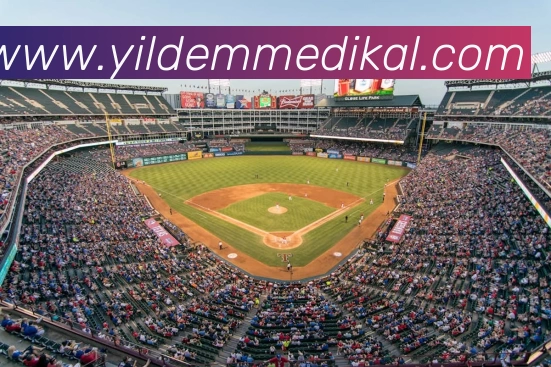 App Interface Preview